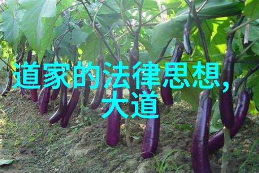 心灵启迪自我觉醒的旅程