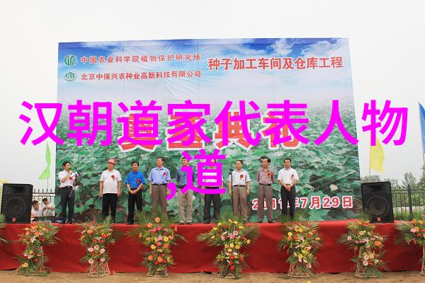 古诗词诗歌鉴赏 - 探索经典韵味从李白到杜甫的艺术探究