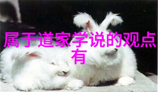 黄大仙太上老君的化身炼丹术之宗