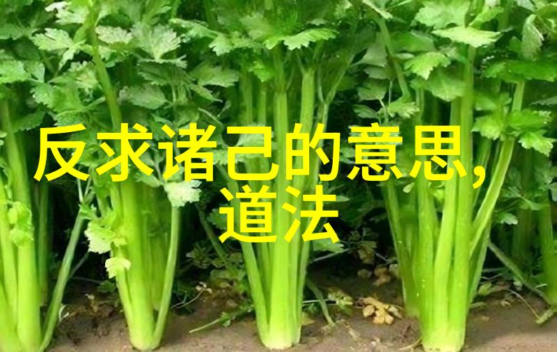 道家修炼的智慧探索内丹气功与自然和谐之路