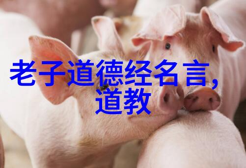 悟在天成内心的智慧与自然之美的和谐