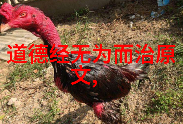 如何让无欲的心态不影响工作效率和创造力