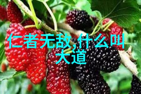 逆道修真心法秘诀与反差之谜