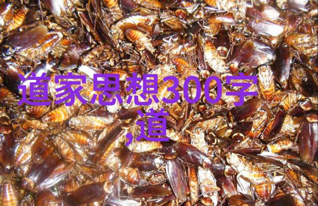 书卷中的无为哲学孔孟之道对当代的启示