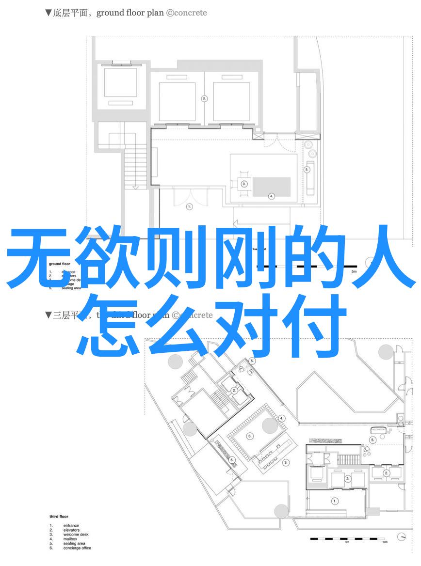 轮转不息寻找道教中生命永恒之谜