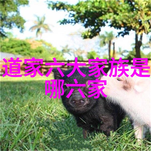 冷门又惊艳的古风句子我在一本破旧书中发现了一个古风句子它像是一枚尘封的宝石等待着被人发现