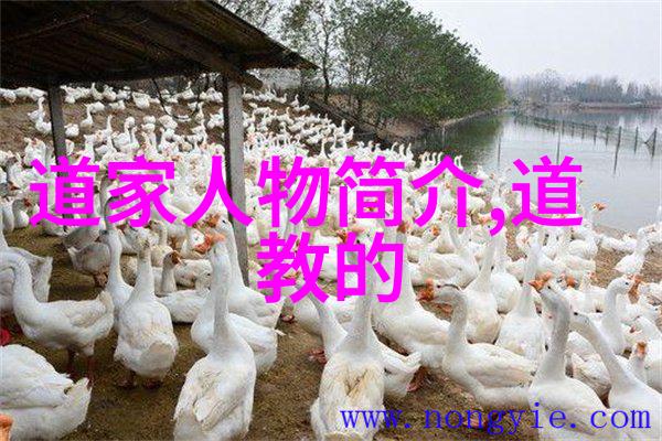 唐诗选编古韵流光