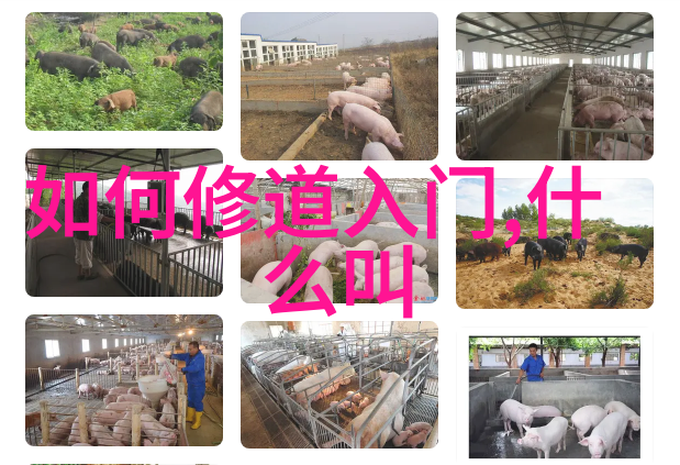 道家两鼻祖-揭秘道教源流老子与张良的双重影响