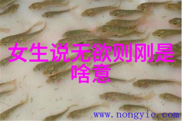 人生感悟致自己 - 岁月长河中的自我省思