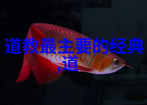 时间之轮无为的秘密