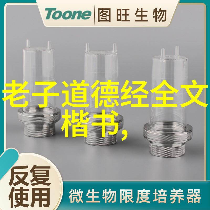 道家的宇宙观及其对后世的影响