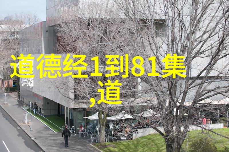 从基础到精通逐步掌握道家的经典练习方法