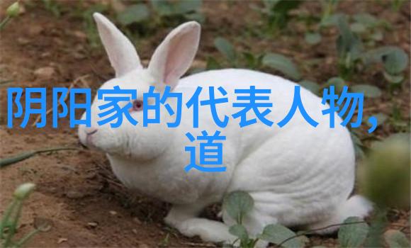 帝王术之争法家强权还是道家的和谐探索古代治国哲学的不同路径