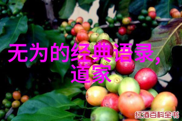 战国时期道家学派探秘那些古人是怎样享受生活的