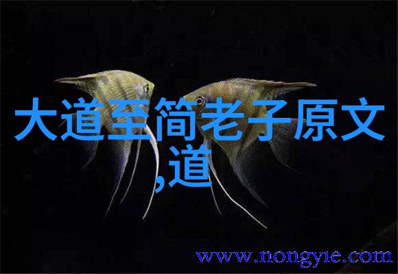 道教的创立与历代发展史