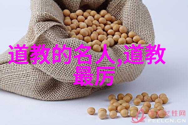 道家基础知识入门玄学书籍探索中华古代哲学智慧