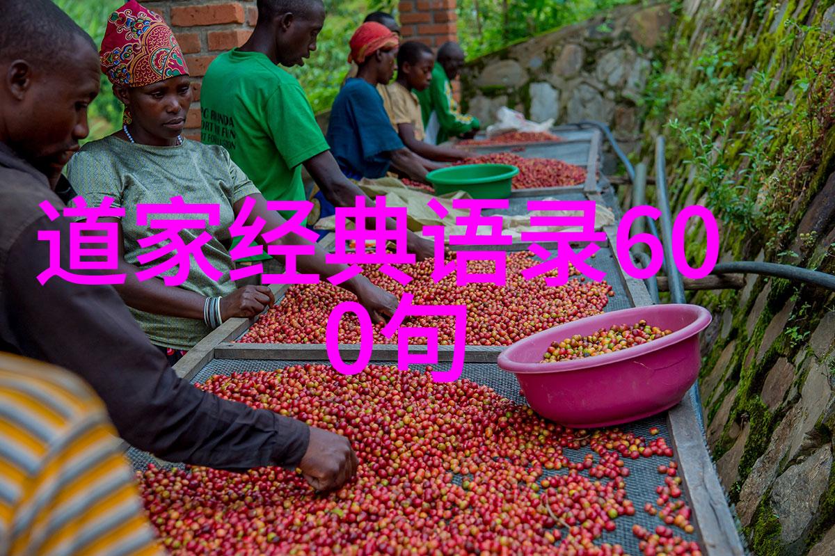 在当代全球化背景下道家学说能否提供新的发展路径或解决方案