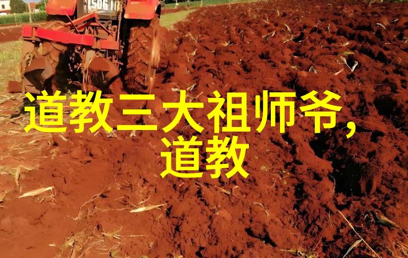 孔雀大明王东方神鸟的皇权