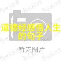 在感情中寻找平衡何为真正的无欲而刚