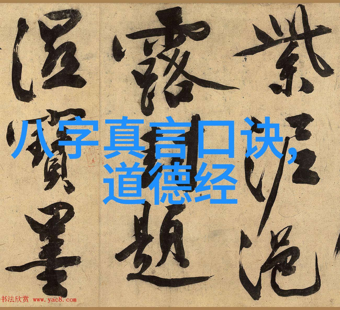 探寻古韵中的智慧易经爱好者的精神世界