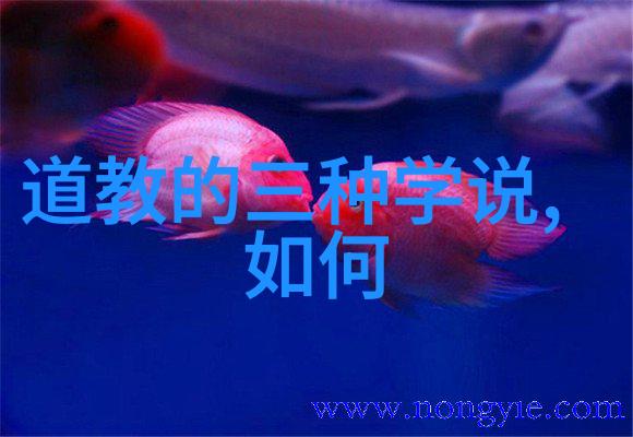 探秘人生孔圣人的智慧是道教佛教还是儒家
