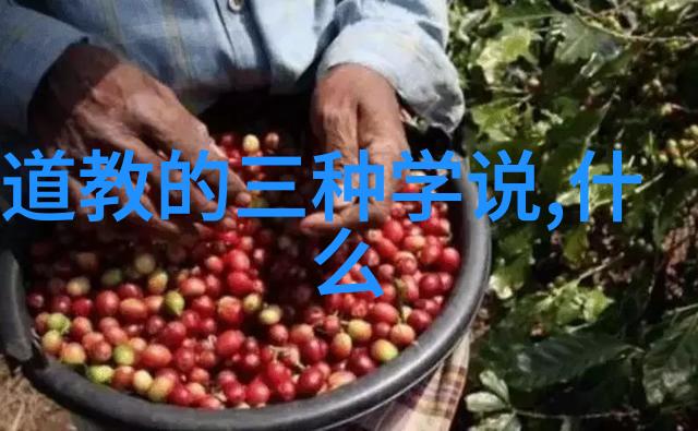 无欲无求的人生哲学对于年轻一代来说是一个什么样的启示和挑战