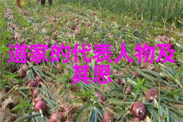 无为的力量揭开生活中的神秘面纱