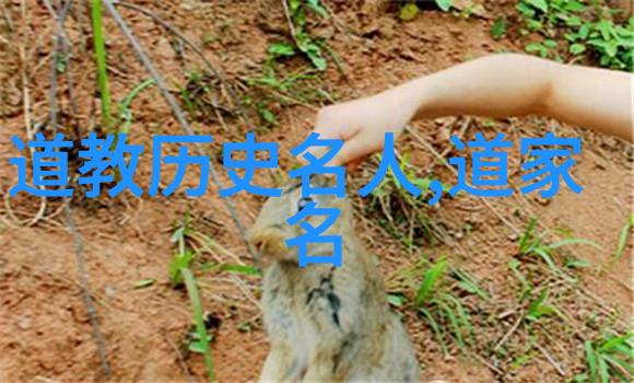 追逐光明披露真我开悟对人生的意义