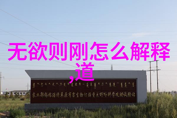 女生说大道至简什么意思她说大道至简就是生活的真谛简单而不失精彩