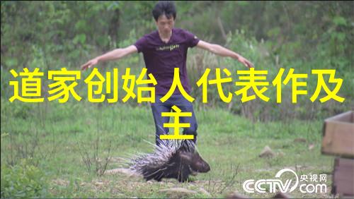 94vvv回忆的编码与未来的频率