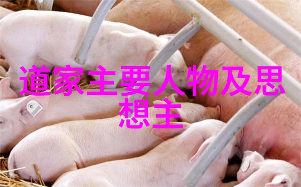 女人的智慧从大道至简的秘密