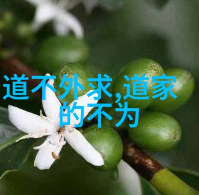 道家经典书籍的智慧探索从道德经到庄子的哲学深度