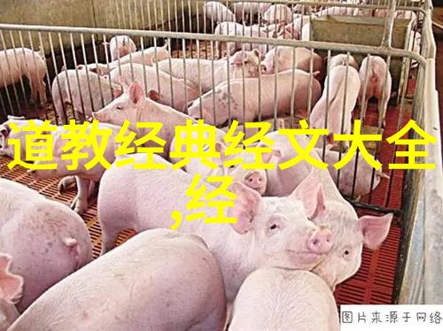 无为之用方为大用什么意思我是如何学会做一个无为的高手的