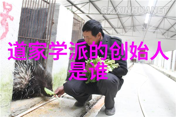 哲学探究-剖析无欲则刚智慧欲望与意志力的深度对话