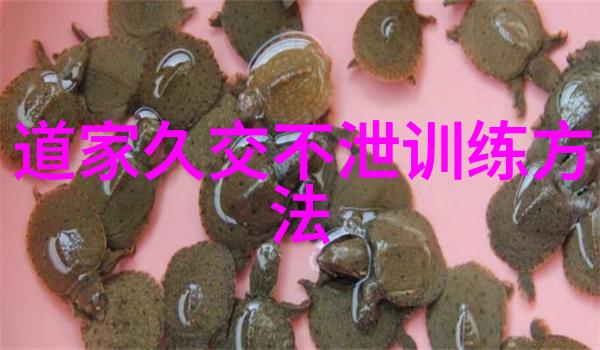 刚毅之心欲望之刃探索成语背后的哲学深度