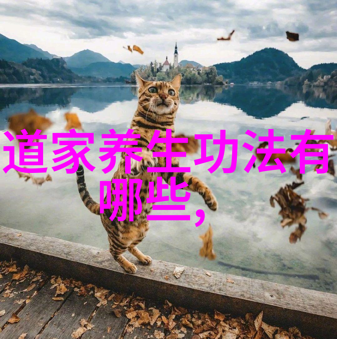 探寻道家的秘密道家真人的传说与现实