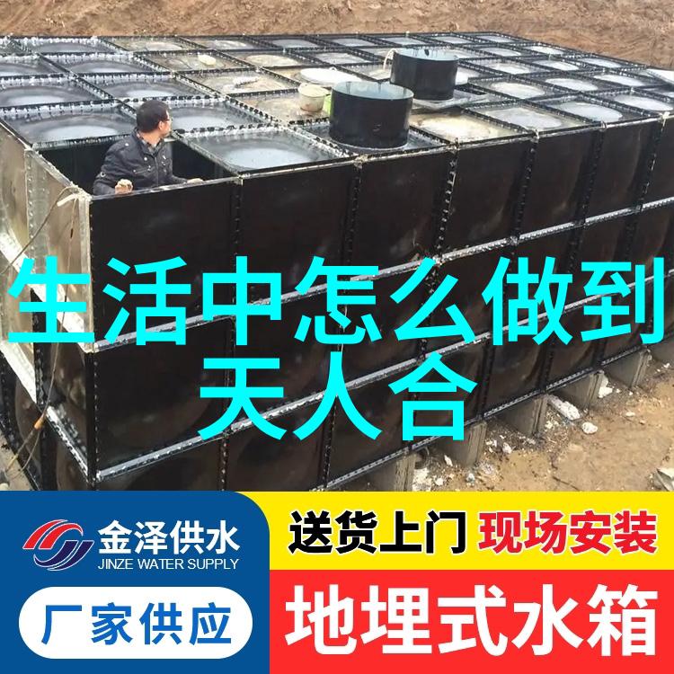 道家哲学的代表人物揭秘老子的智慧与庄子的自由