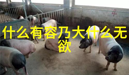 从字面到深意老子道德注音版全文阅读指南