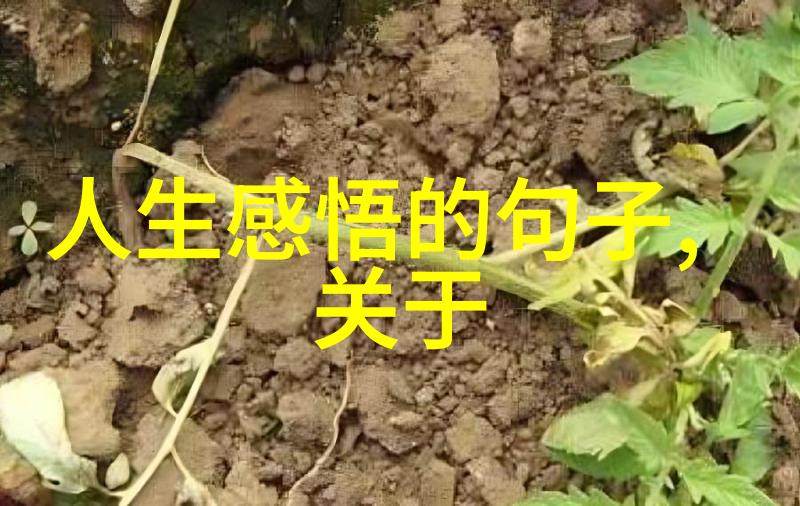 道教的人物有哪些-天师诸神揭秘道教传说中的英雄与智者