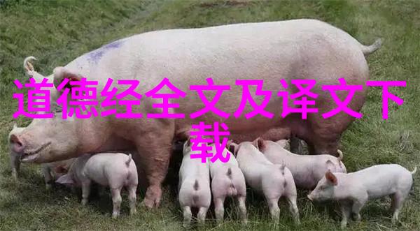 道教代表人我和老子聊天