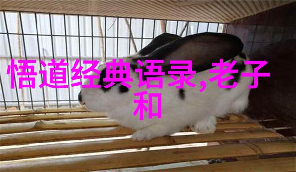 无为而治在现代管理中的应用实例