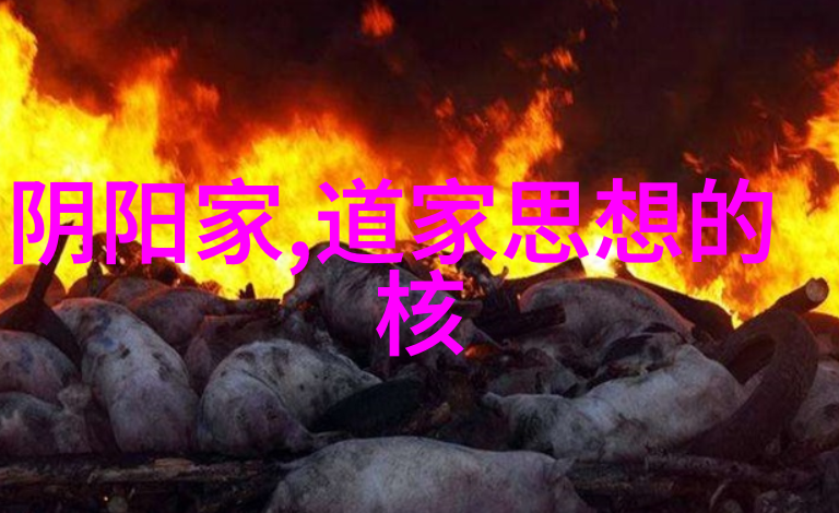霸道帝王的宠儿逆袭之恋