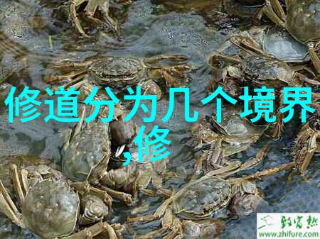 书法艺术的深度鉴赏笔墨之间的文化之韵