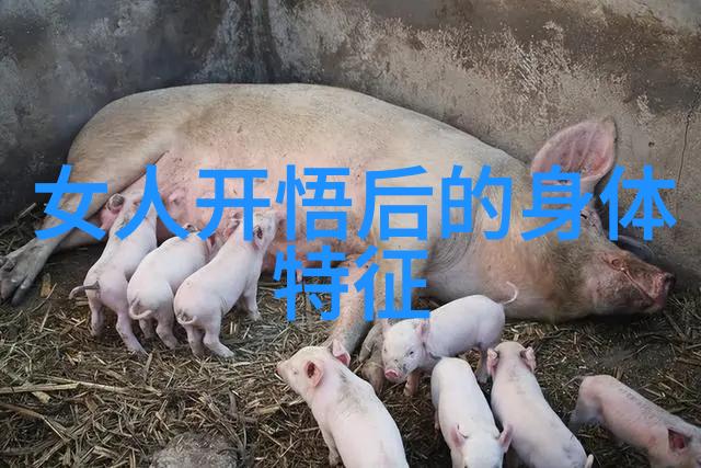 探索道德经的智慧揭秘正版全文及译文背后的哲学深度