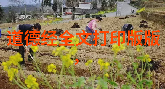 从无不为到有所为人生的选择与转变