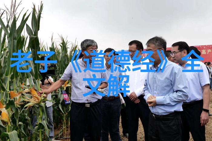 极度失常BY姜和的精神探索