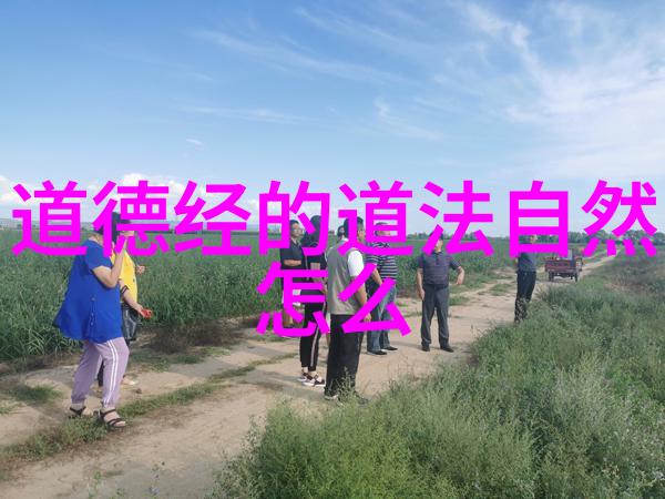 神秘宝典揭秘佛教菩萨众