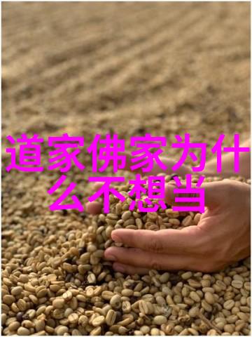道家哲学杰出代表人物主张道家智慧的精髓