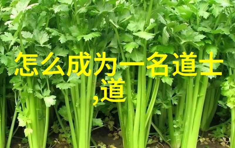 祖师爷在中国民间信仰中的角色定位