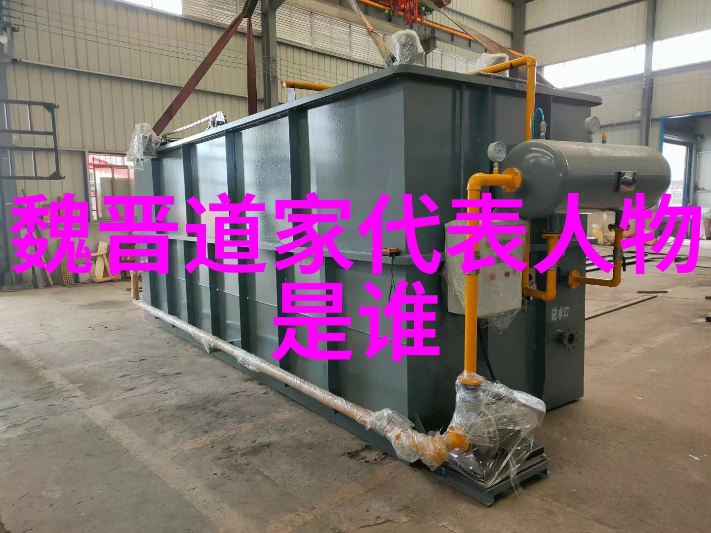 道韵永恒探索一辈子的修炼